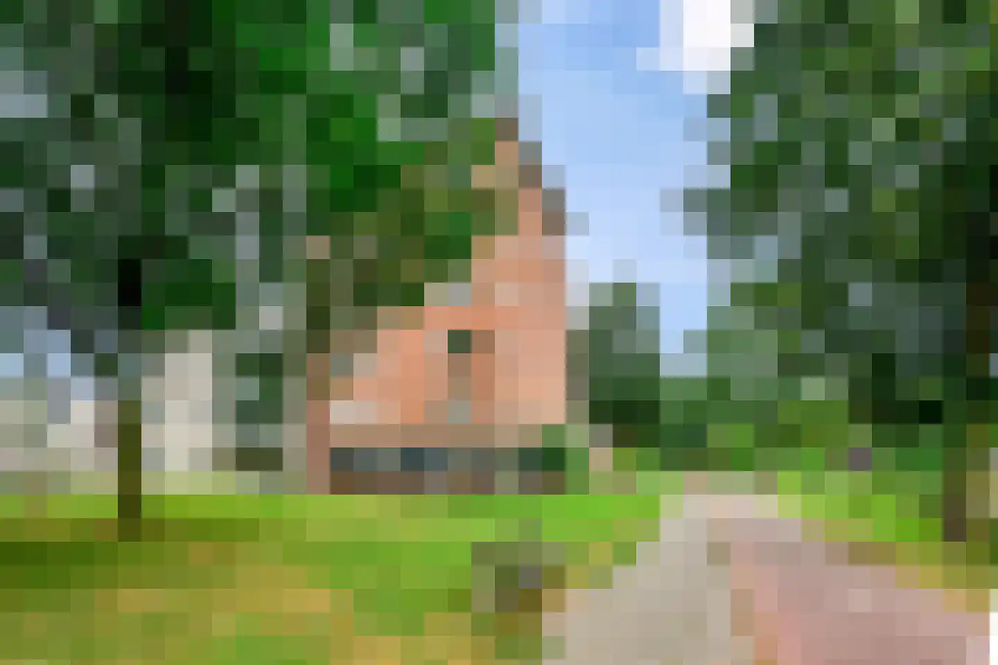 Memlingstraat 7 Krimpen aan den IJssel thumbnail 5