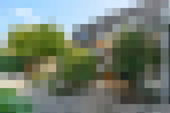 Memphis 3 Amersfoort thumbnail 15