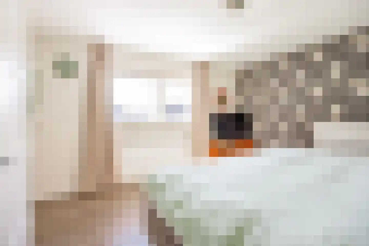 Memphis 9 Amersfoort thumbnail 41