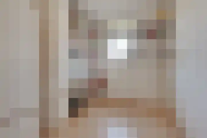 Memphis Slimstraat 3 Middelburg thumbnail 23