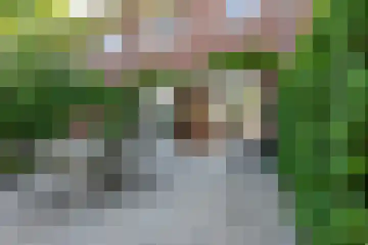 Memphis Slimstraat 3 Middelburg thumbnail 30