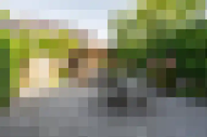 Memphis Slimstraat 3 Middelburg thumbnail 31
