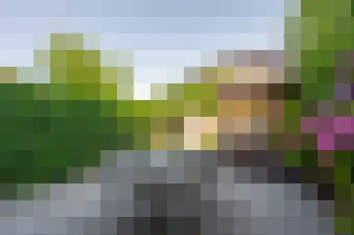 Memphis Slimstraat 3 Middelburg thumbnail 32