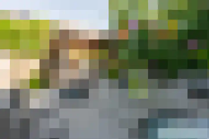 Memphis Slimstraat 3 Middelburg thumbnail 33