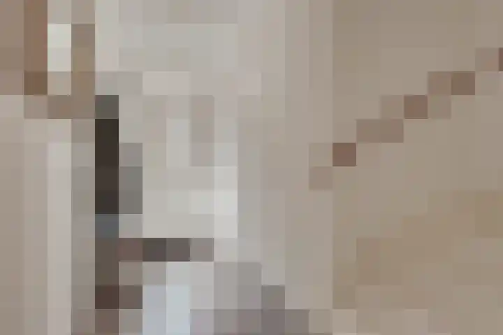 Memphis Slimstraat 3 Middelburg thumbnail 6