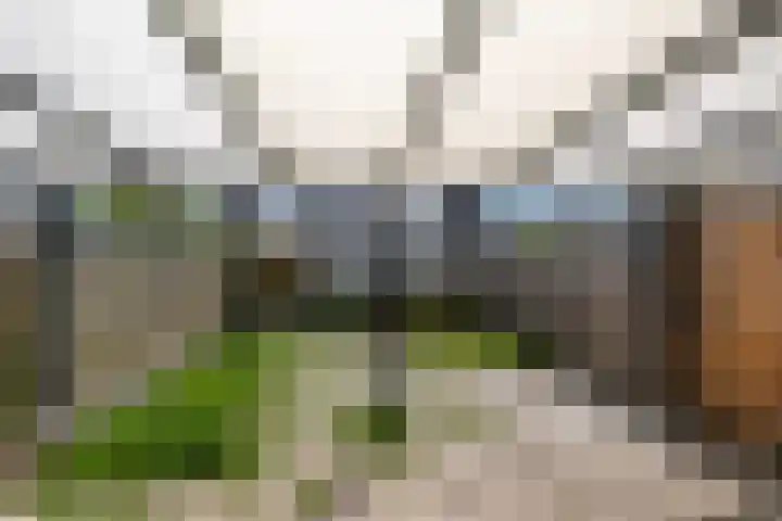 Menadostraat 13 Vlaardingen thumbnail 14