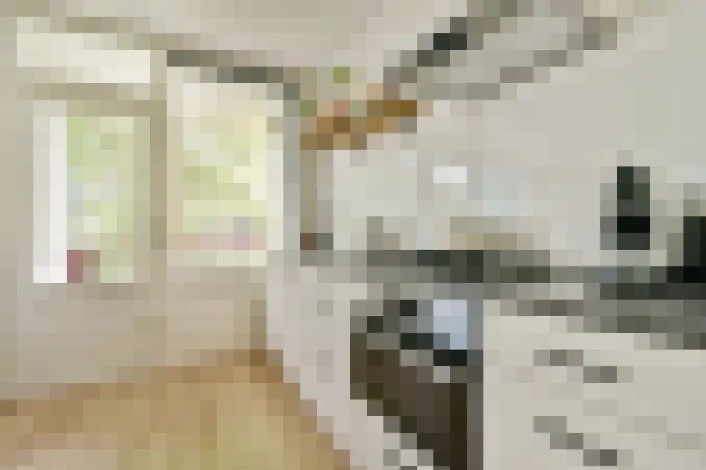 Menadostraat 17 B Amsterdam thumbnail 11