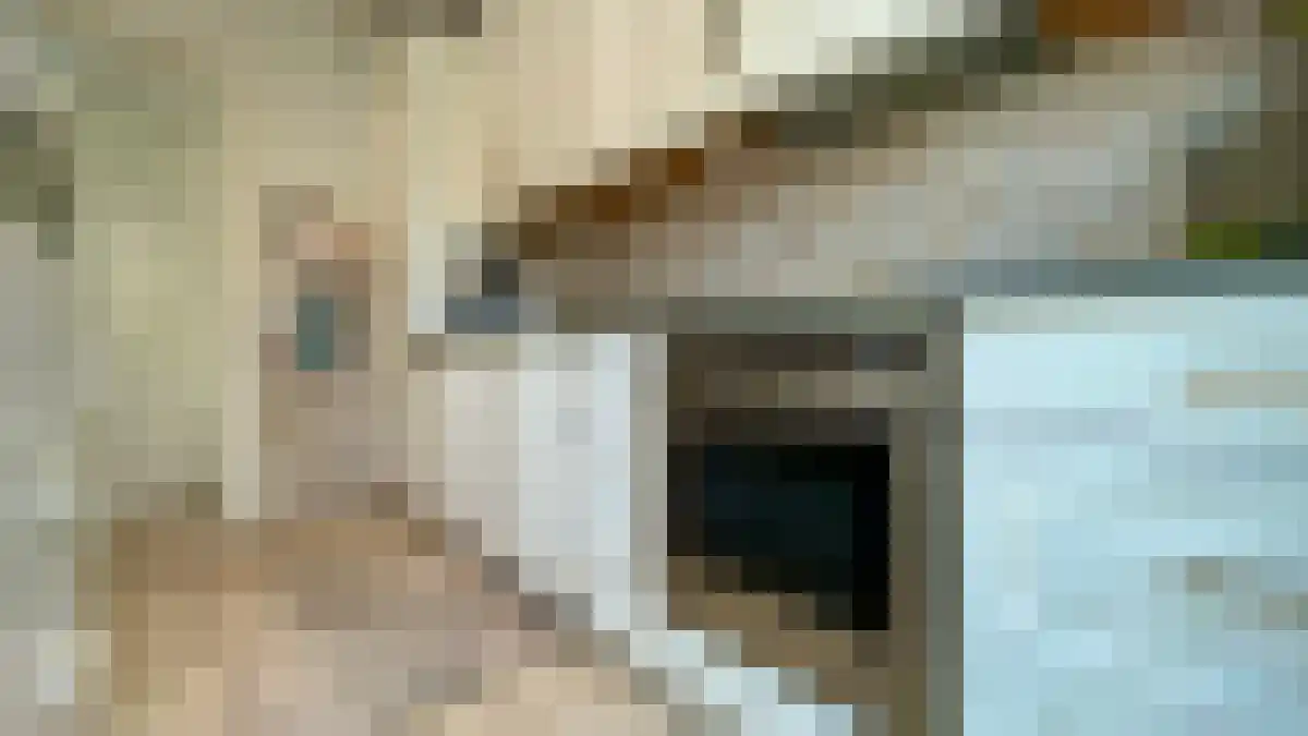 Menadostraat 3 Vlaardingen thumbnail 6