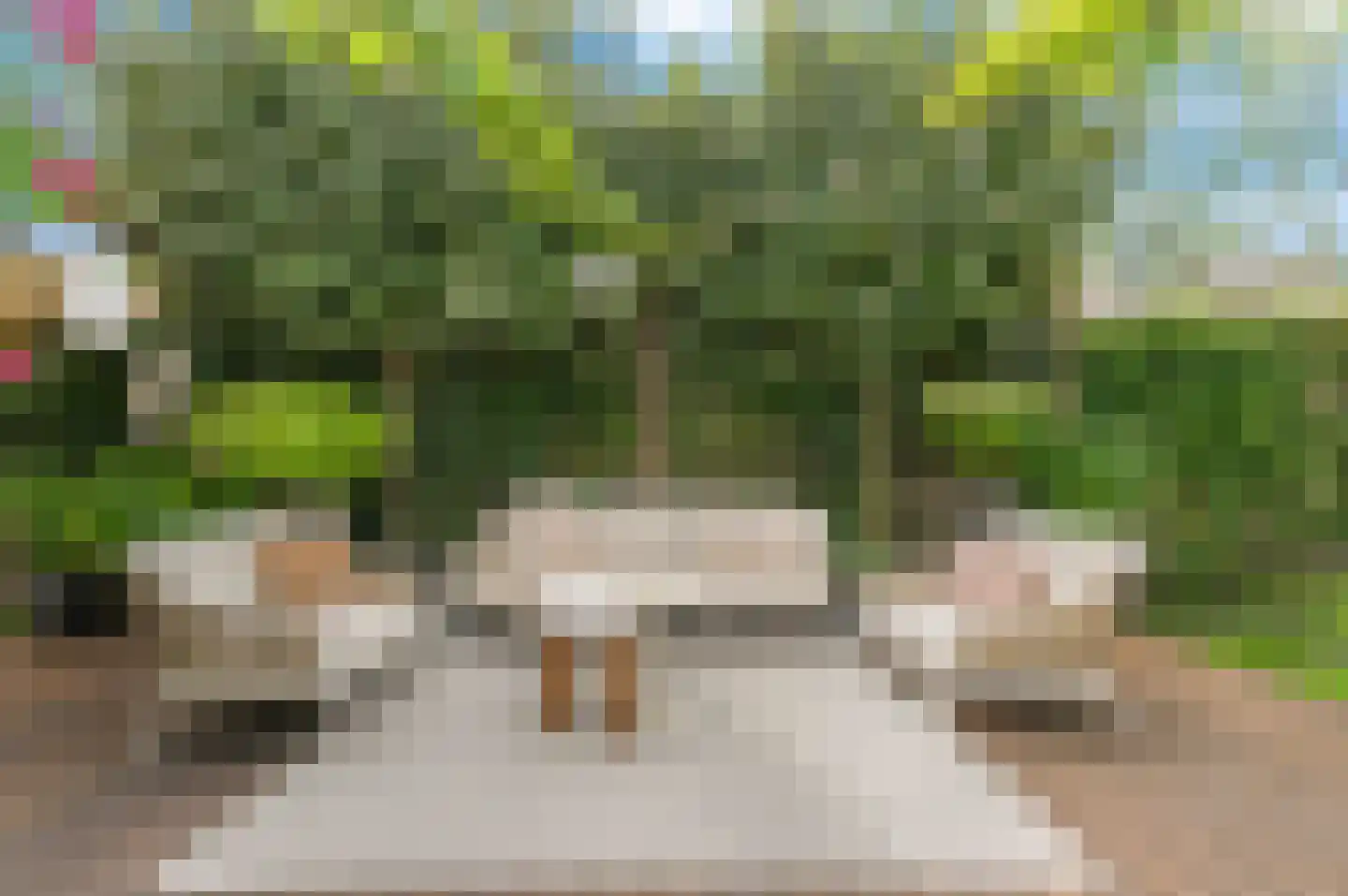 Menagerie 1 Rijswijk thumbnail 10