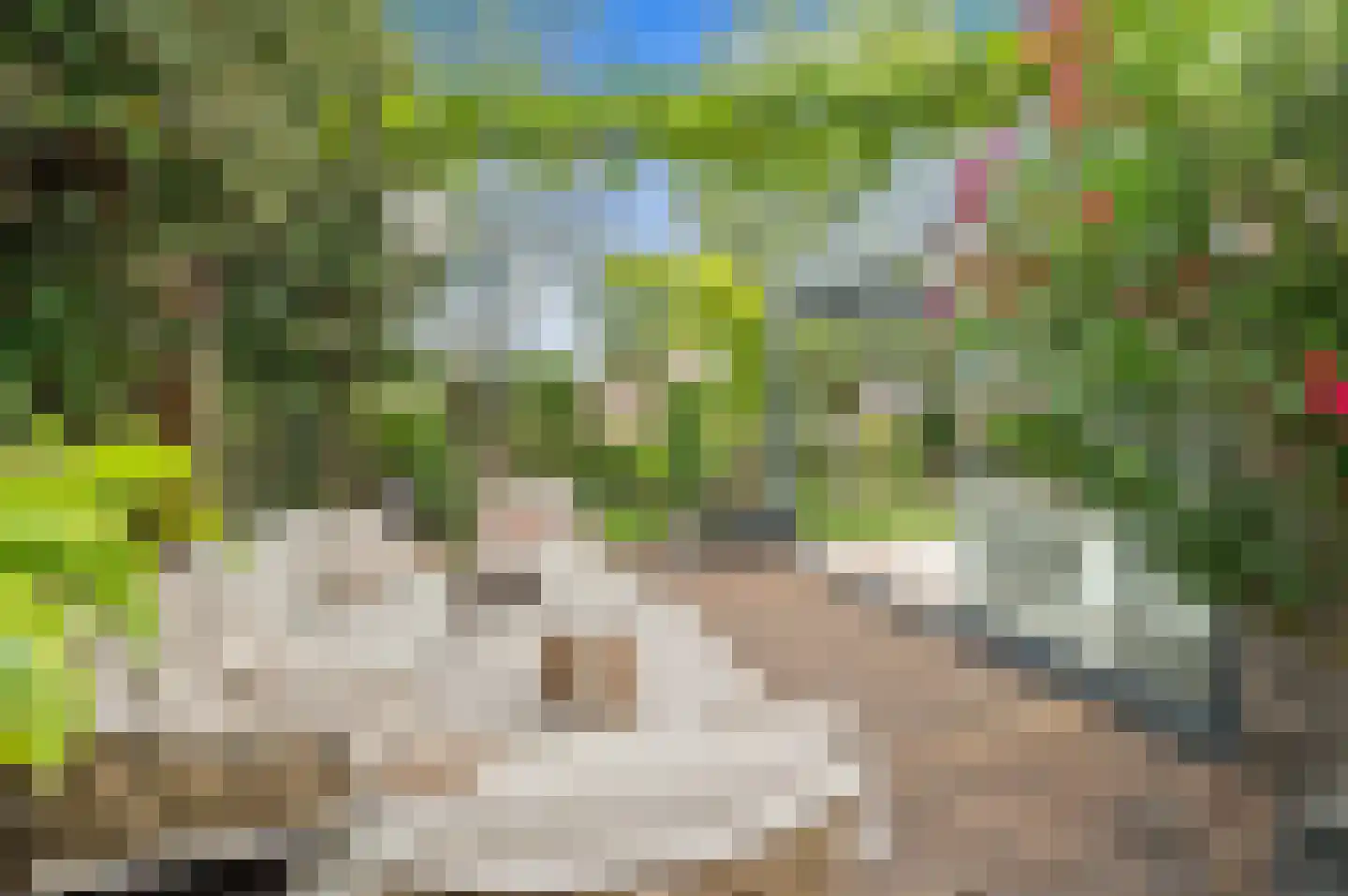 Menagerie 1 Rijswijk thumbnail 11