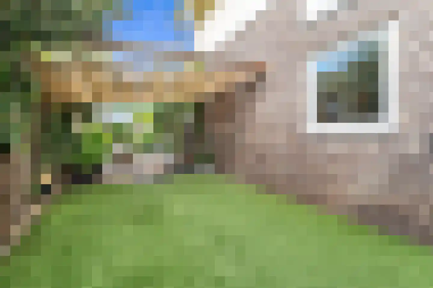 Menagerie 1 Rijswijk thumbnail 13