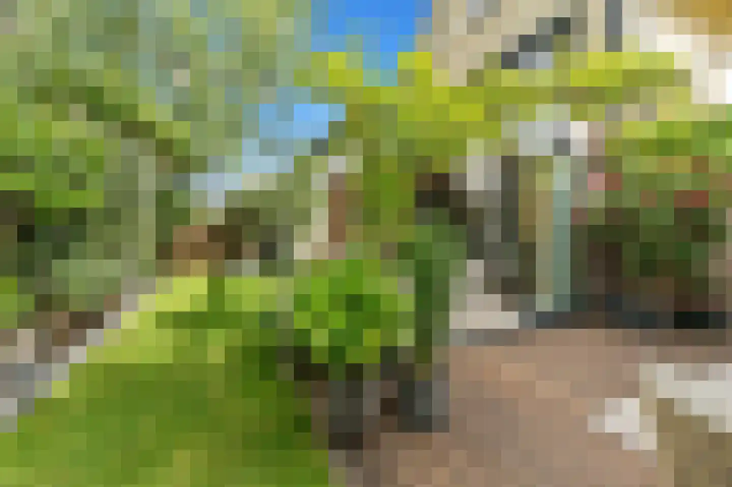 Menagerie 1 Rijswijk thumbnail 14