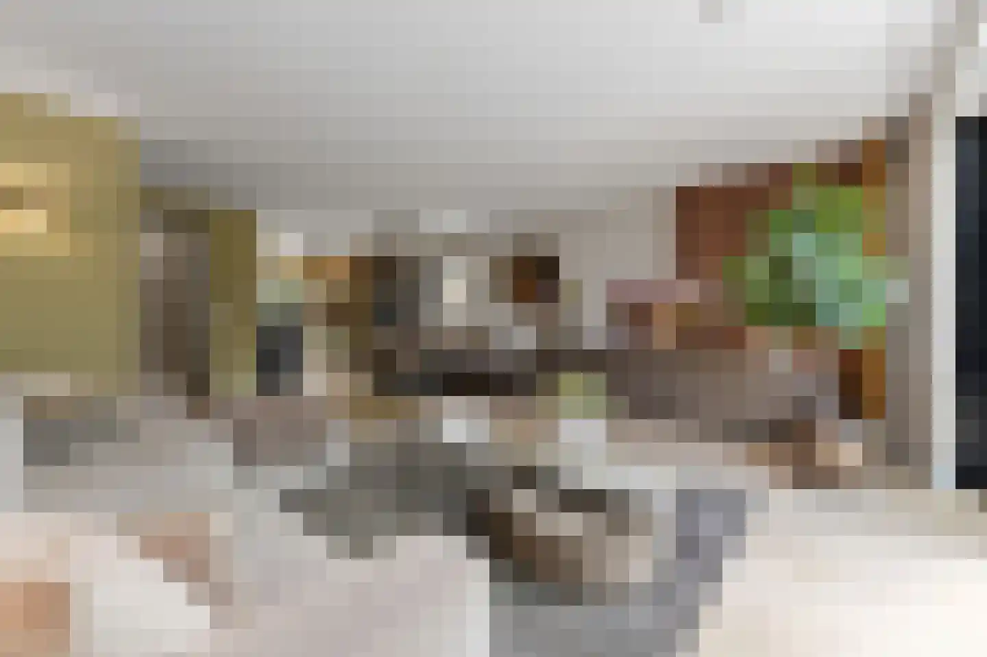 Menagerie 1 Rijswijk thumbnail 21