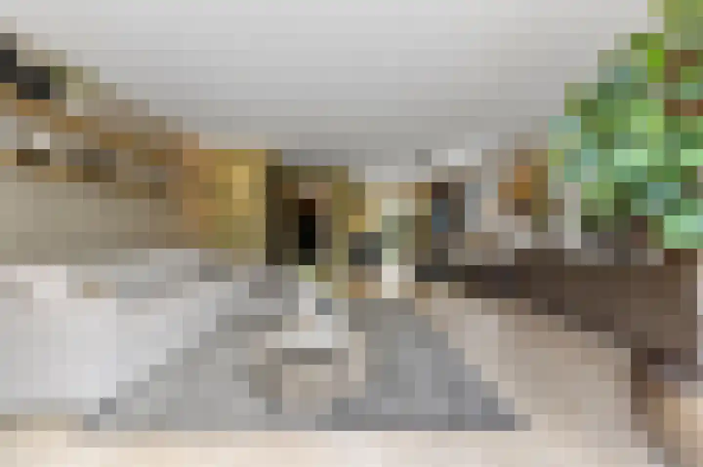 Menagerie 1 Rijswijk thumbnail 22
