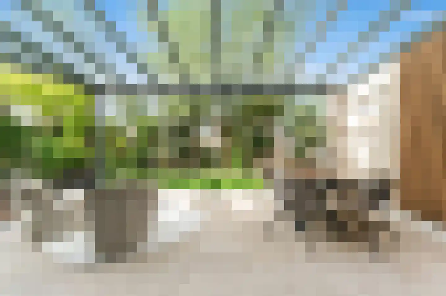 Menagerie 1 Rijswijk thumbnail 27