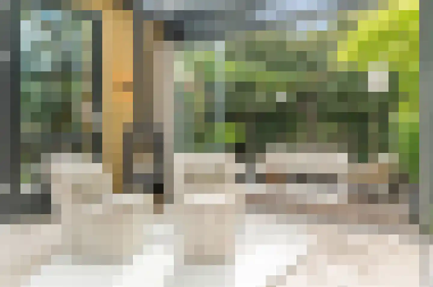 Menagerie 1 Rijswijk thumbnail 29