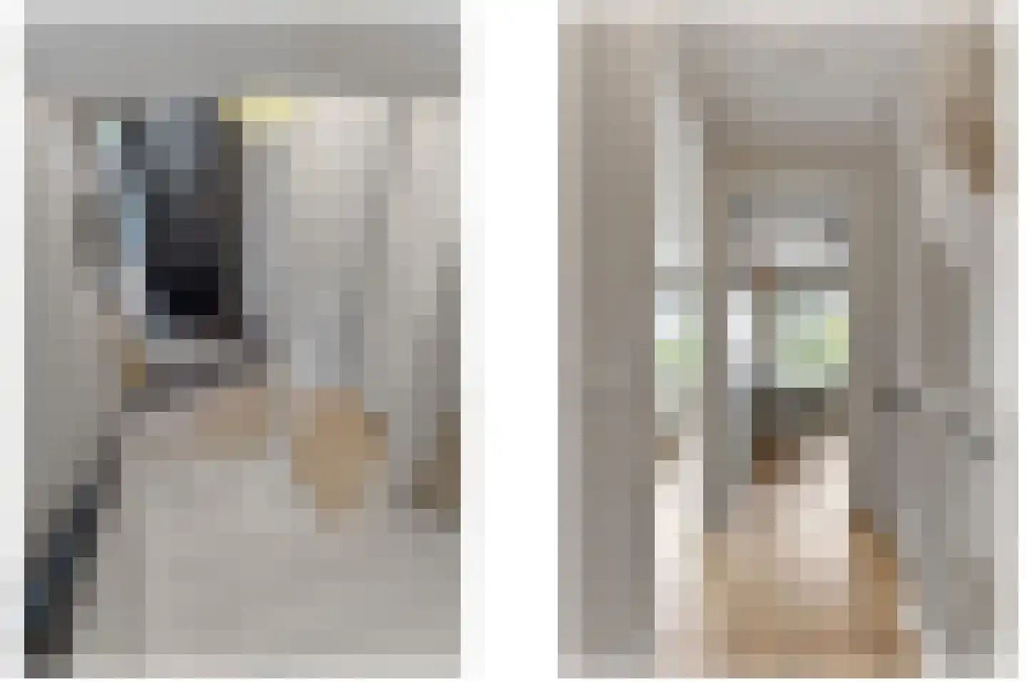 Menagerie 1 Rijswijk thumbnail 31