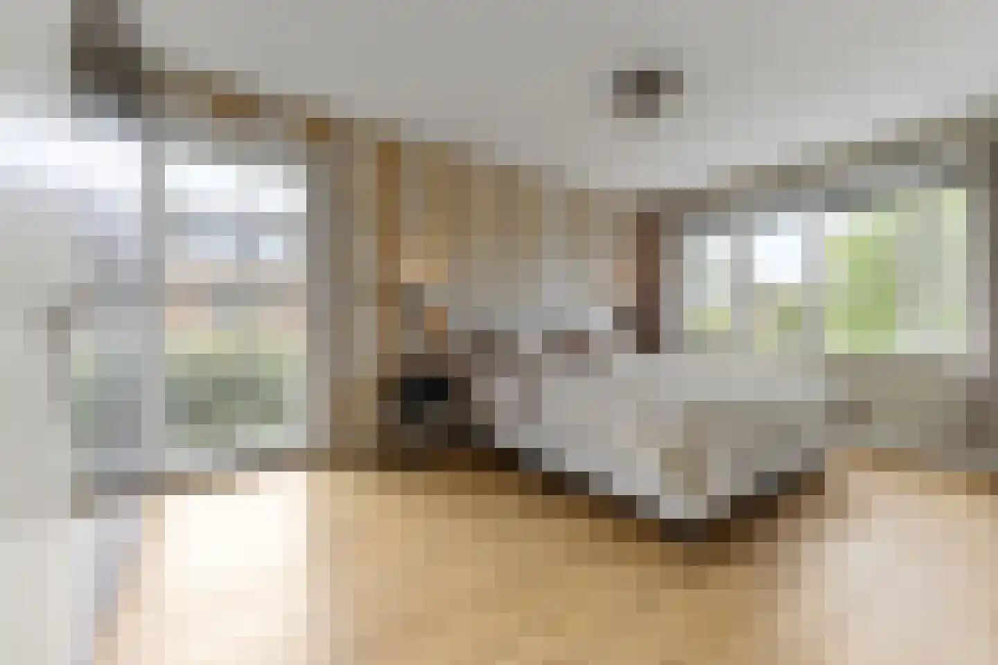 Menagerie 1 Rijswijk thumbnail 33