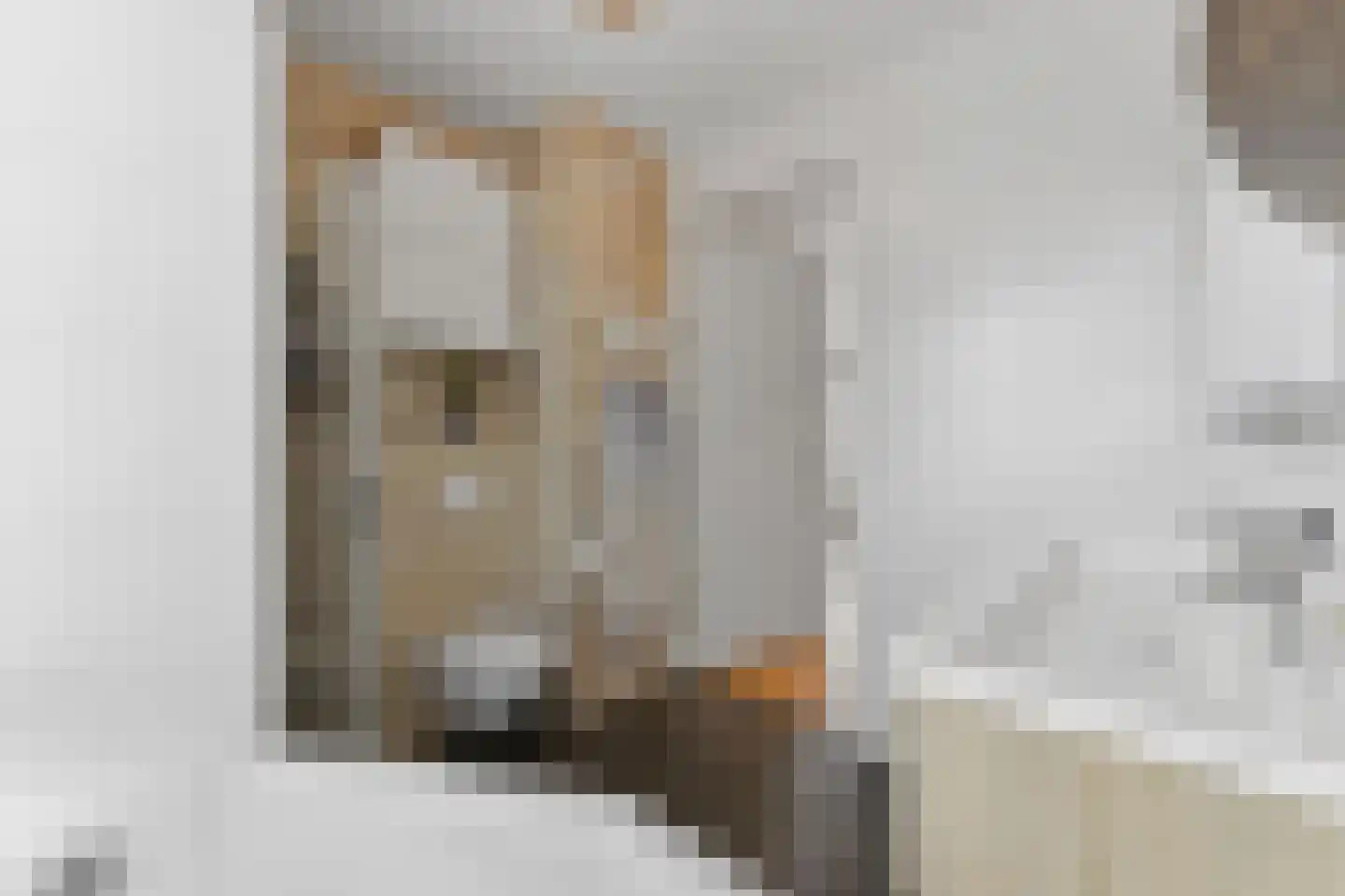 Menagerie 1 Rijswijk thumbnail 36
