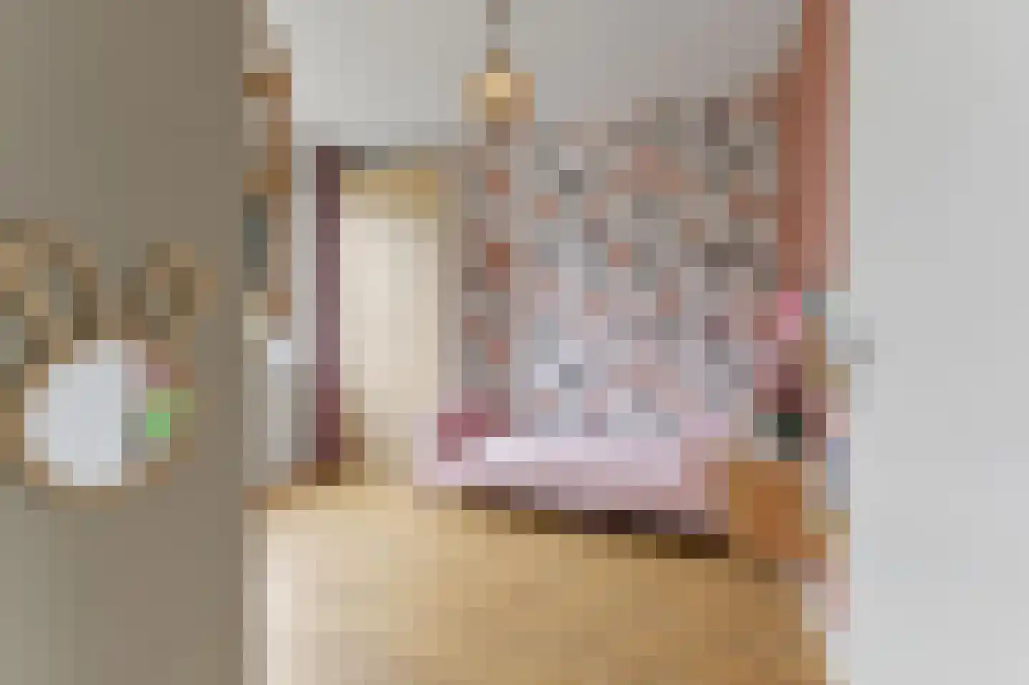 Menagerie 1 Rijswijk thumbnail 37