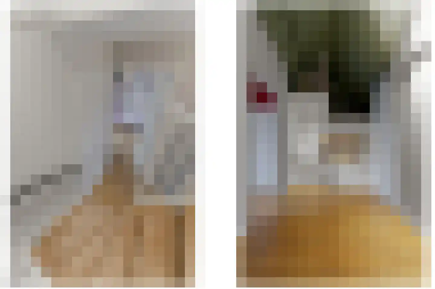 Menagerie 1 Rijswijk thumbnail 39