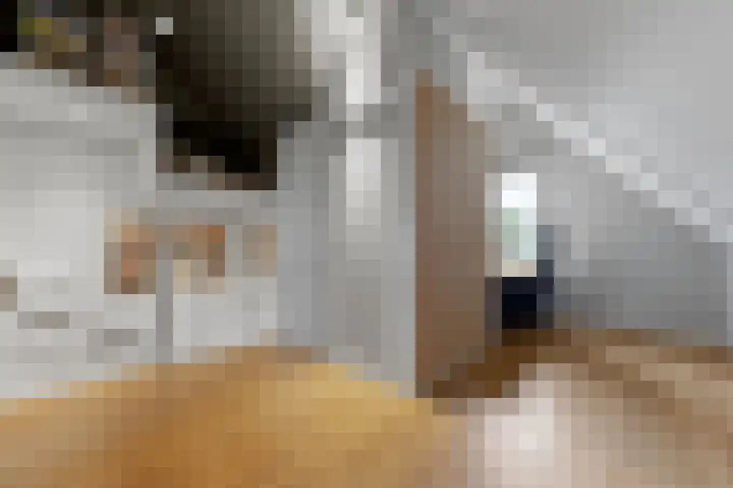 Menagerie 1 Rijswijk thumbnail 40
