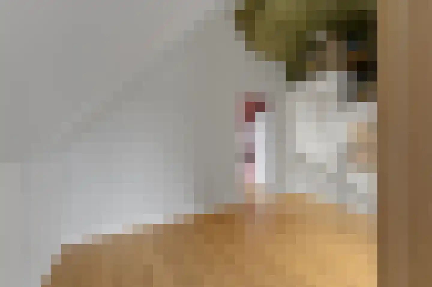 Menagerie 1 Rijswijk thumbnail 41