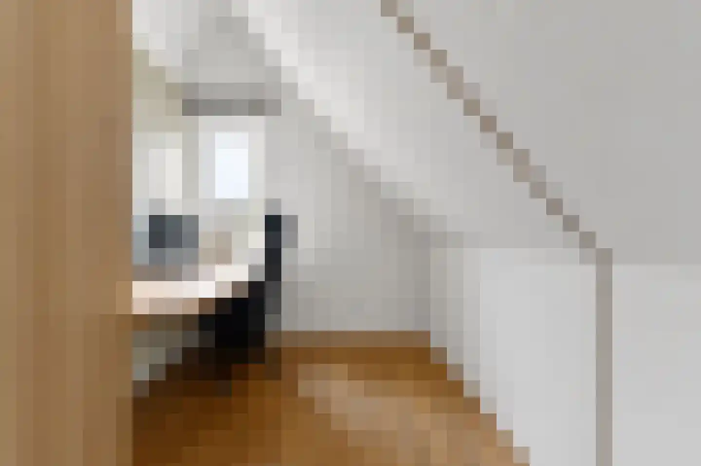 Menagerie 1 Rijswijk thumbnail 42