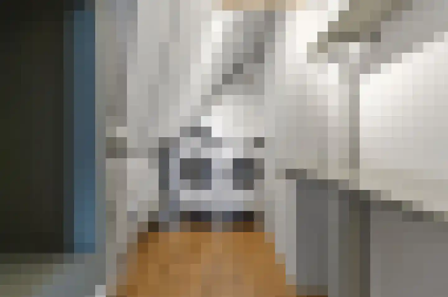 Menagerie 1 Rijswijk thumbnail 43