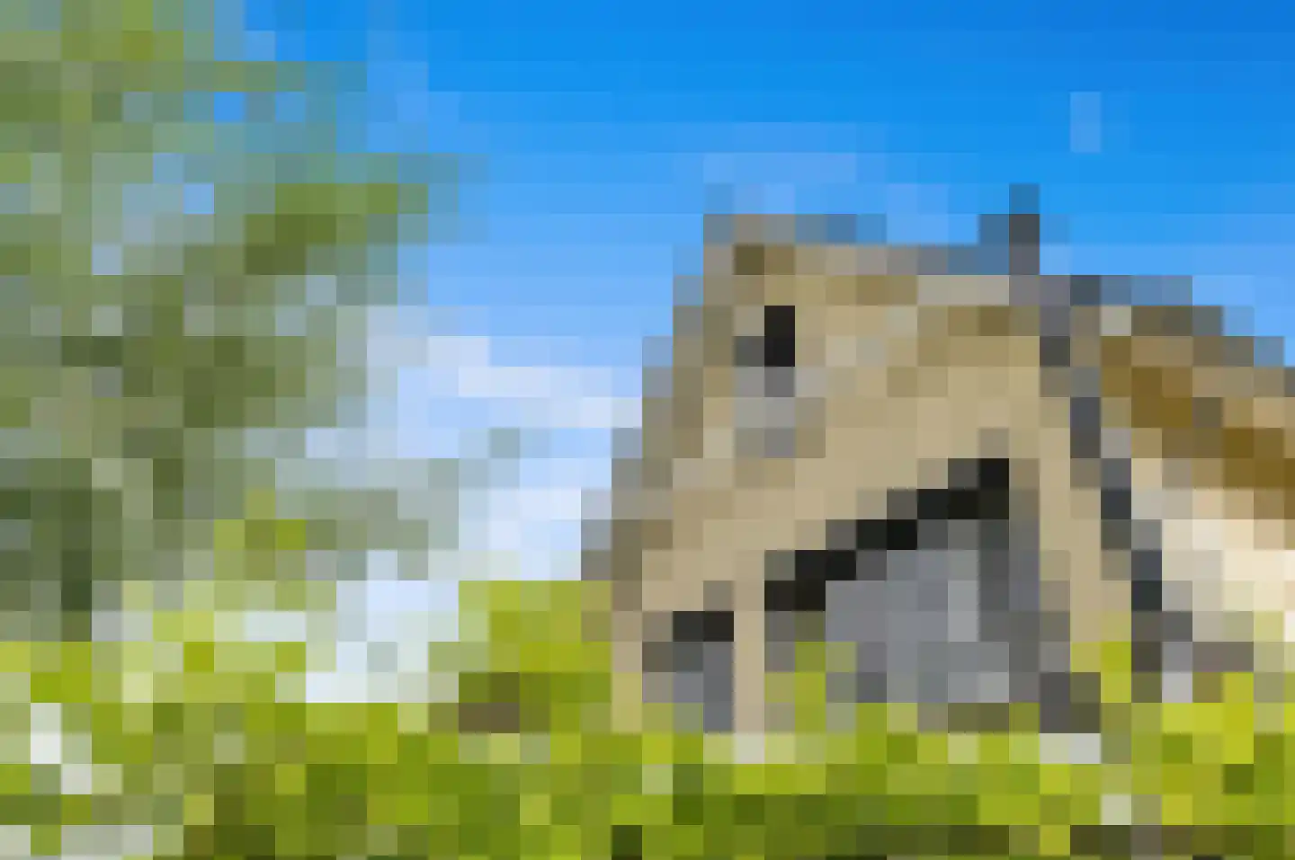 Menagerie 1 Rijswijk thumbnail 46