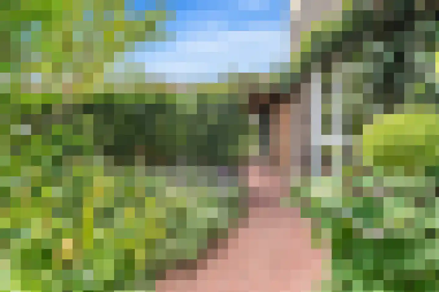 Menagerie 1 Rijswijk thumbnail 7
