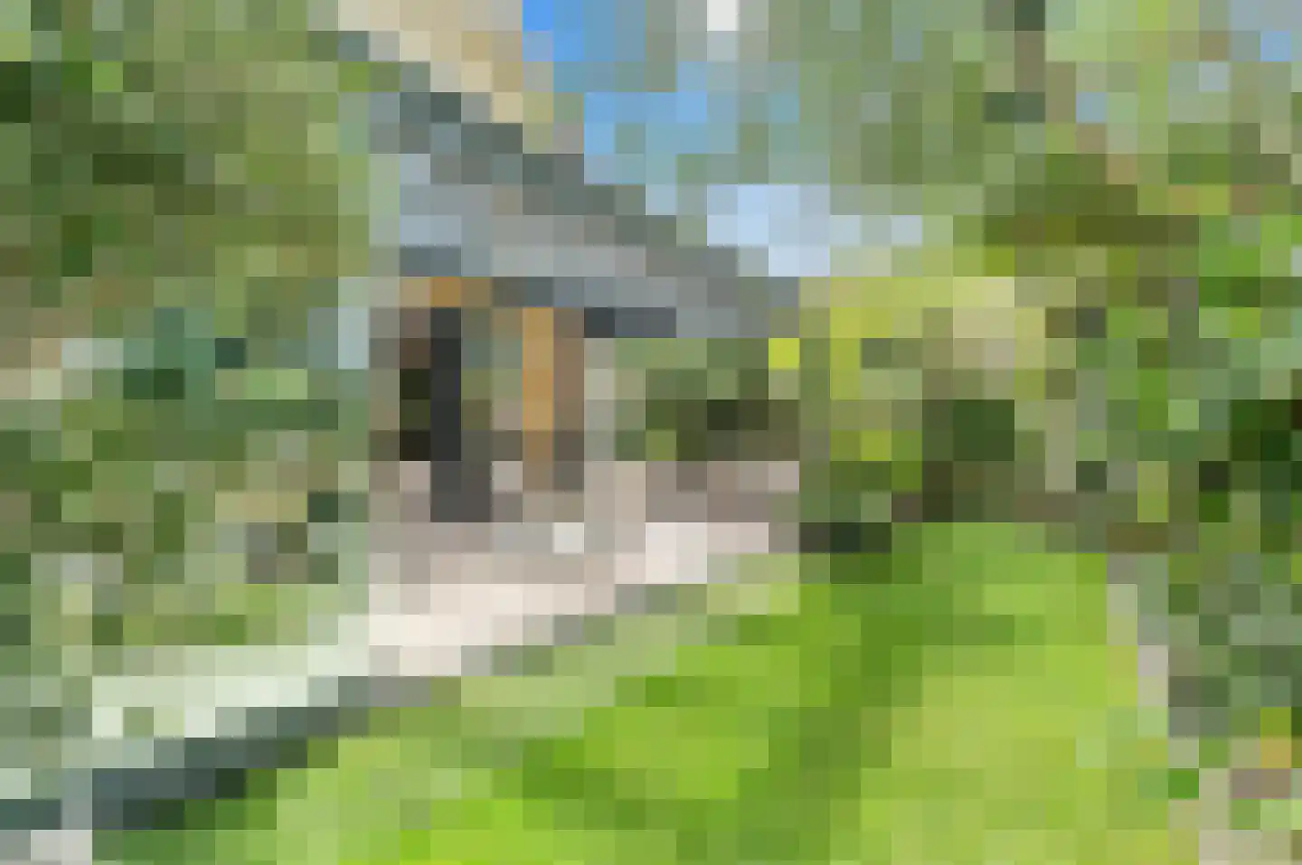 Menagerie 1 Rijswijk thumbnail 8