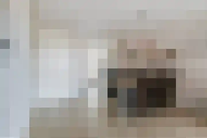 Menagerie 14 Dordrecht thumbnail 16