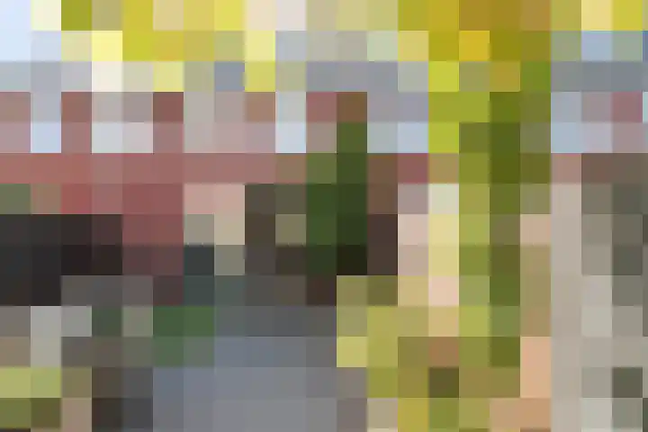 Menagerie 14 Dordrecht thumbnail 30