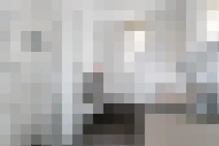 Menagerie 14 Dordrecht thumbnail 4