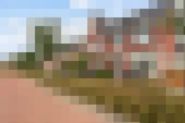 Menagerie 14 Dordrecht thumbnail 6