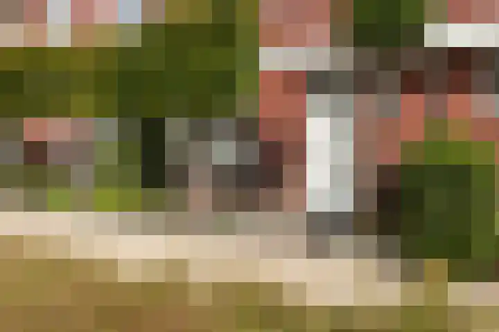 Menagerie 14 Dordrecht thumbnail 7