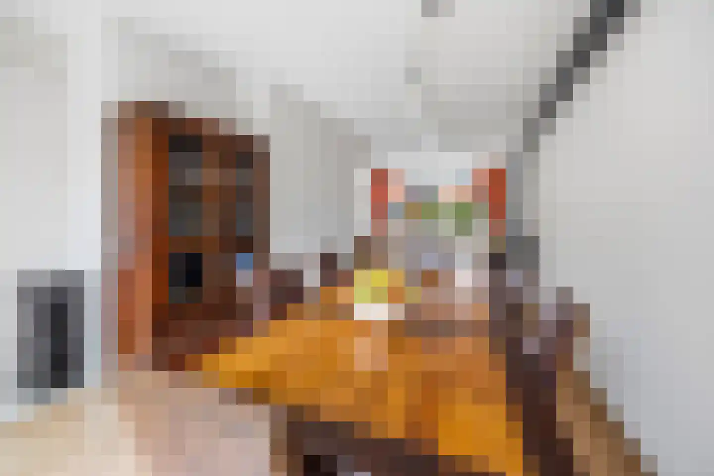 Menagerie 3 Voorburg thumbnail 13