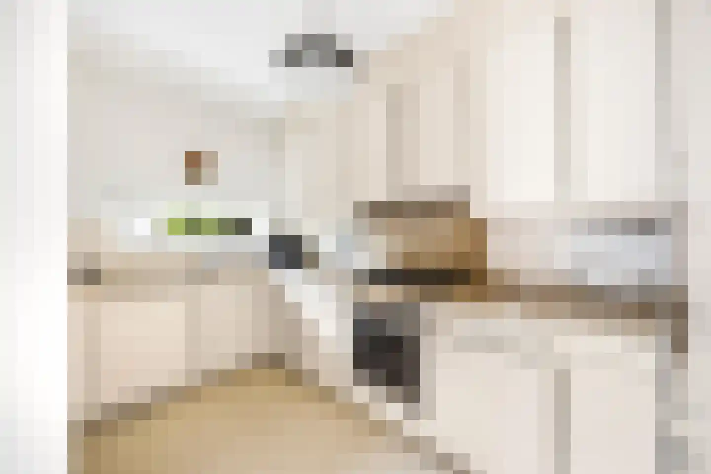 Menagerie 3 Voorburg thumbnail 15