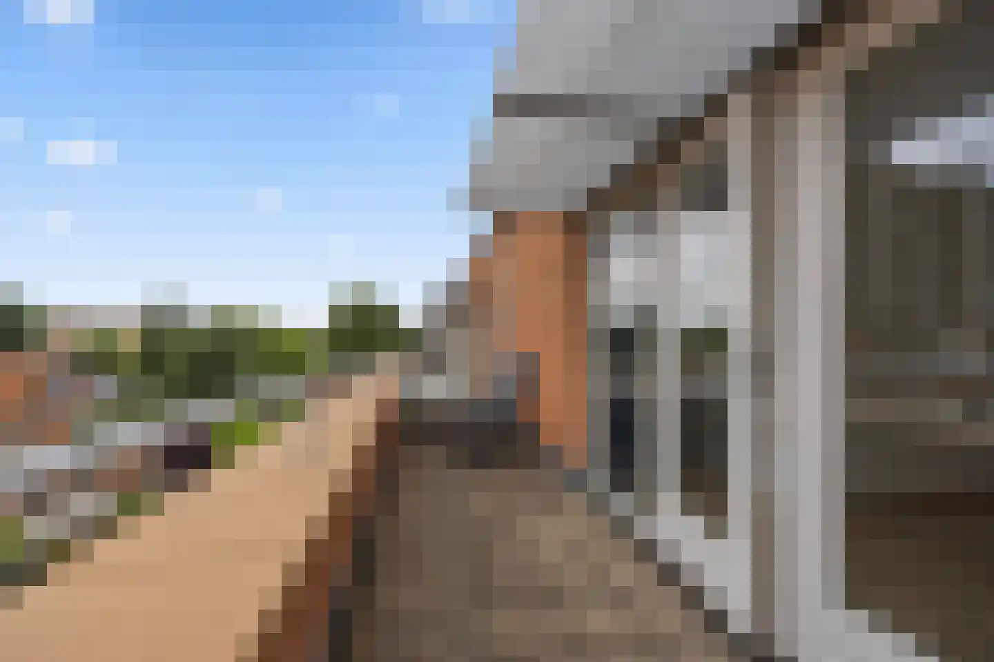 Menagerie 3 Voorburg thumbnail 37