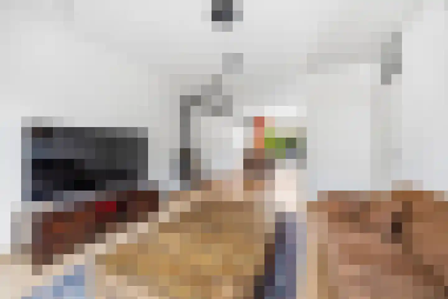 Menagerie 3 Voorburg thumbnail 9