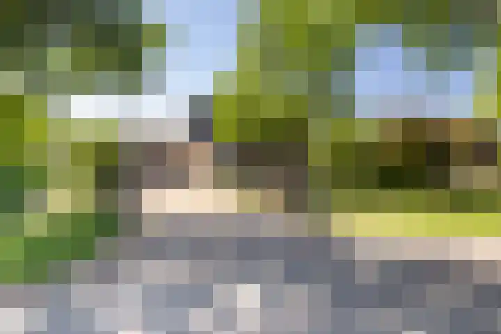 Menamerdyk 2 Slappeterp