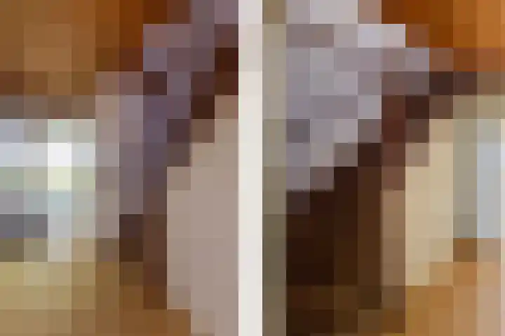 Menamerdyk 2 Slappeterp thumbnail 23