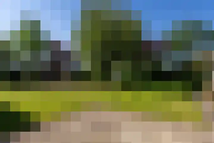 Menamerdyk 2 Slappeterp thumbnail 31