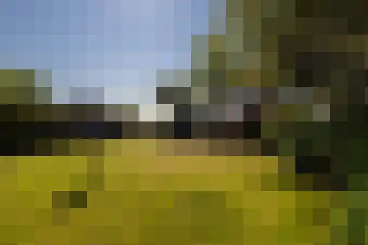 Menamerdyk 2 Slappeterp thumbnail 32