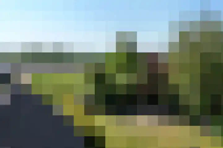 Menamerdyk 2 Slappeterp thumbnail 33