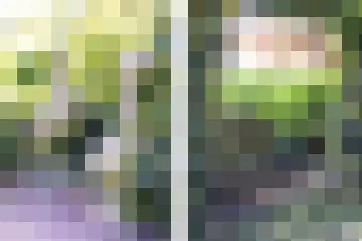 Menamerdyk 2 Slappeterp thumbnail 34