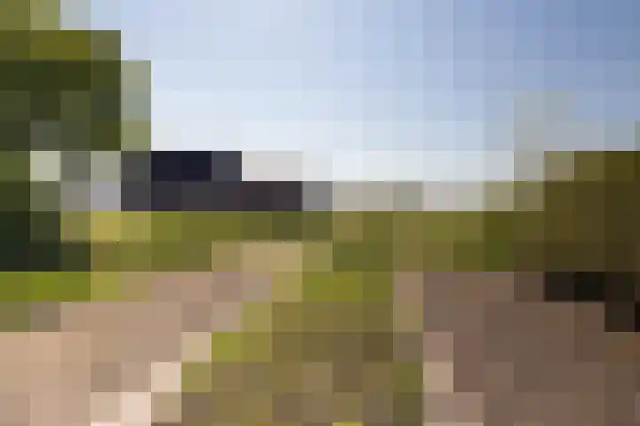 Menamerdyk 2 Slappeterp thumbnail 36