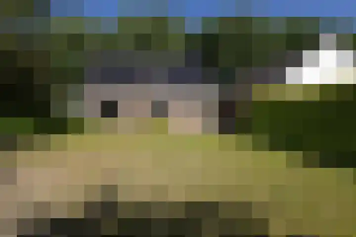 Menamerdyk 2 Slappeterp thumbnail 39
