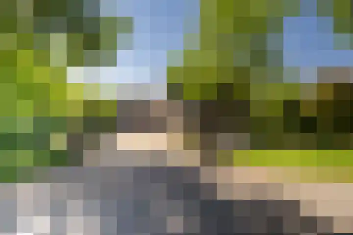 Menamerdyk 2 Slappeterp thumbnail 4